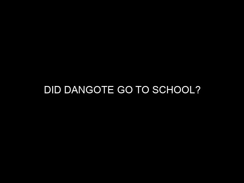 Did Dangote Go to School?