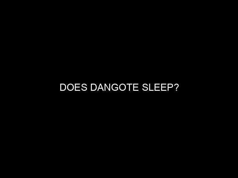 Does Dangote Sleep?