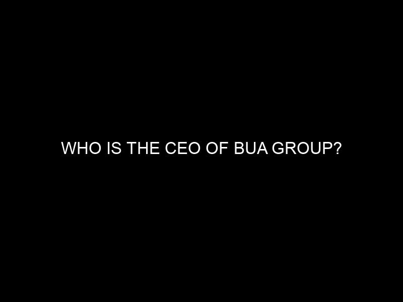 Who is the CEO of BUA Group?
